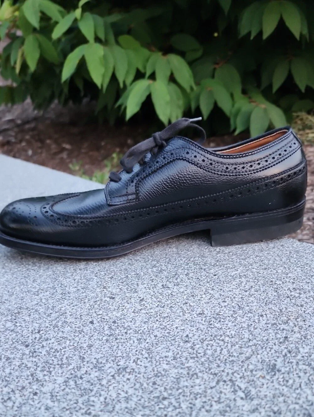 Alden 679 Black Alpine Grain Long Wing Blucher Shoes 7.5 D